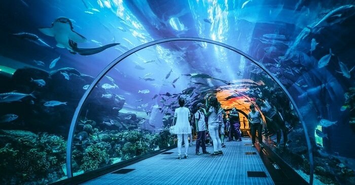 Dubai Aquarium,