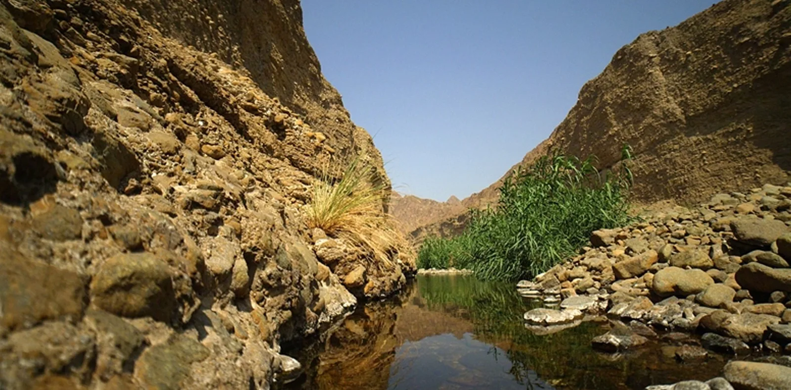 wadi wurayah national park Fujairah